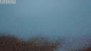 ./images/calvert/lookout/20250526/lookout20250526_221508M.jpg