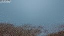 ./images/calvert/lookout/20250527/lookout20250527_044508M.jpg