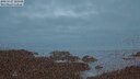 ./images/calvert/lookout/20250527/lookout20250527_222508M.jpg