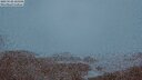 ./images/calvert/lookout/20250528/lookout20250528_221506M.jpg