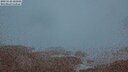 ./images/calvert/lookout/20250528/lookout20250528_222006M.jpg