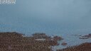 ./images/calvert/lookout/20250529/lookout20250529_222509M.jpg