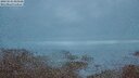 ./images/calvert/lookout/20250531/lookout20250531_043509M.jpg