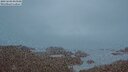 ./images/calvert/lookout/20250603/lookout20250603_043508M.jpg