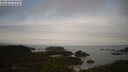 ./images/calvert/lookout/20250603/lookout20250603_082508M.jpg