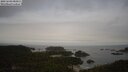 ./images/calvert/lookout/20250603/lookout20250603_083011M.jpg