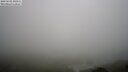 ./images/calvert/lookout/20250603/lookout20250603_105011M.jpg