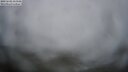 ./images/calvert/lookout/20250603/lookout20250603_213508M.jpg