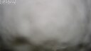 ./images/calvert/lookout/20250604/lookout20250604_054508M.jpg