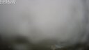./images/calvert/lookout/20250604/lookout20250604_080012M.jpg