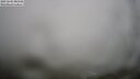 ./images/calvert/lookout/20250604/lookout20250604_080509M.jpg