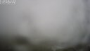 ./images/calvert/lookout/20250604/lookout20250604_081010M.jpg