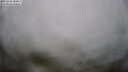 ./images/calvert/lookout/20250605/lookout20250605_183011M.jpg