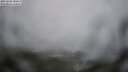 ./images/calvert/lookout/20250605/lookout20250605_184510M.jpg