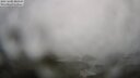 ./images/calvert/lookout/20250605/lookout20250605_203507M.jpg
