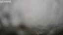 ./images/calvert/lookout/20250605/lookout20250605_210008M.jpg