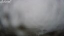 ./images/calvert/lookout/20250605/lookout20250605_213508M.jpg