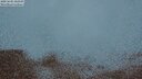 ./images/calvert/lookout/20250605/lookout20250605_223508M.jpg