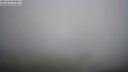 ./images/calvert/lookout/20250606/lookout20250606_082010M.jpg