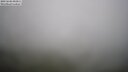 ./images/calvert/lookout/20250606/lookout20250606_093011M.jpg