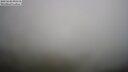 ./images/calvert/lookout/20250606/lookout20250606_095510M.jpg