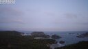 ./images/calvert/lookout/20250610/lookout20250610_045009M.jpg