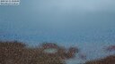 ./images/calvert/lookout/20250615/lookout20250615_224509M.jpg