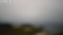./images/calvert/lookout/20250616/lookout20250616_114011M.jpg