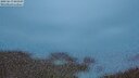 ./images/calvert/lookout/20250617/lookout20250617_043507M.jpg