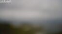 ./images/calvert/lookout/20250618/lookout20250618_085510M.jpg