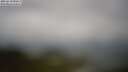 ./images/calvert/lookout/20250618/lookout20250618_090012M.jpg