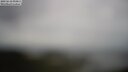 ./images/calvert/lookout/20250618/lookout20250618_094011M.jpg