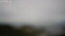 ./images/calvert/lookout/20250618/lookout20250618_104009M.jpg