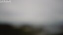 ./images/calvert/lookout/20250618/lookout20250618_104510M.jpg