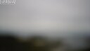 ./images/calvert/lookout/20250618/lookout20250618_110012M.jpg