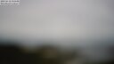 ./images/calvert/lookout/20250618/lookout20250618_110509M.jpg