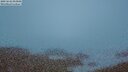 ./images/calvert/lookout/20250622/lookout20250622_043009M.jpg