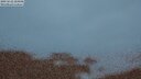 ./images/calvert/lookout/20250622/lookout20250622_224508M.jpg