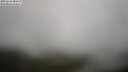 ./images/calvert/lookout/20250624/lookout20250624_084510M.jpg