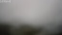 ./images/calvert/lookout/20250624/lookout20250624_093012M.jpg