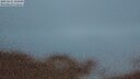 ./images/calvert/lookout/20250625/lookout20250625_224509M.jpg