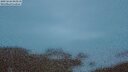 ./images/calvert/lookout/20250626/lookout20250626_043510M.jpg