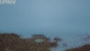 ./images/calvert/lookout/20250627/lookout20250627_043508M.jpg
