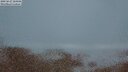 ./images/calvert/lookout/20250627/lookout20250627_224508M.jpg