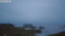 ./images/calvert/lookout/20250629/lookout20250629_044508M.jpg