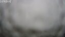 ./images/calvert/lookout/20250701/lookout20250701_063011M.jpg
