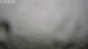 ./images/calvert/lookout/20250701/lookout20250701_074509M.jpg