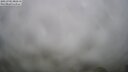 ./images/calvert/lookout/20250701/lookout20250701_082510M.jpg