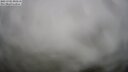 ./images/calvert/lookout/20250701/lookout20250701_090511M.jpg