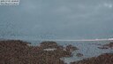 ./images/calvert/lookout/20250701/lookout20250701_224507M.jpg